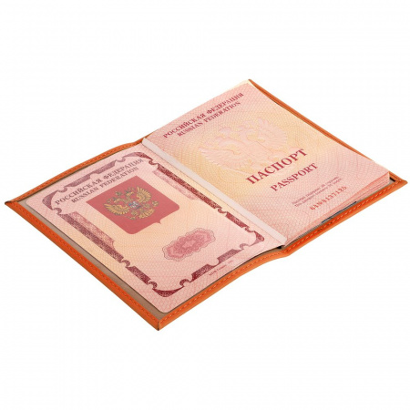 Миниатюра WWW (1000)